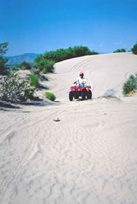 Four wheeler in the Dunes.